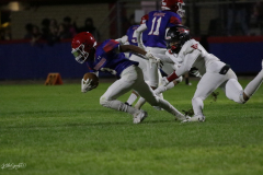 20240830-0C5A8811-274