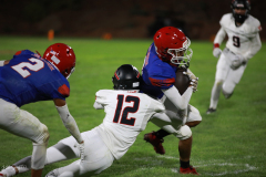 20240830-FK3A8311-248