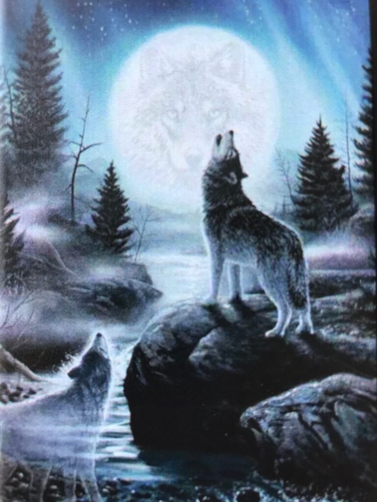 Lobo Howling at the moon near rushing river.